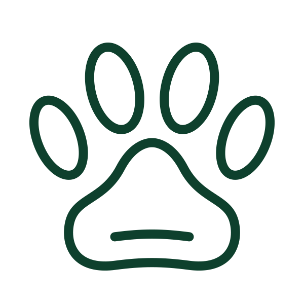 Animaux de compagnie